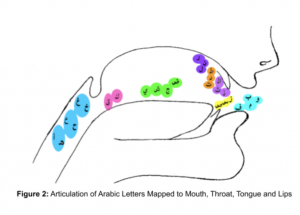 Articulation of Arabic Letters Mapped to Mouth, throat, tongue, and lips