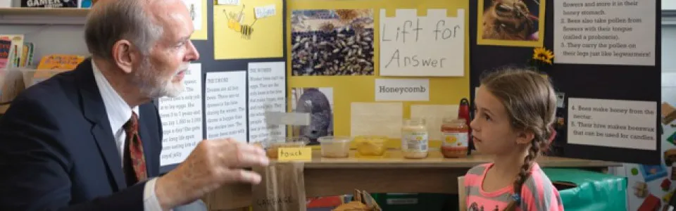 Learning in Depth