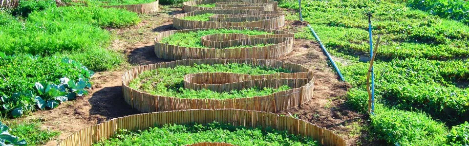 Sustainable and Educational Cities