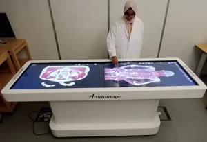 Anatomy Reimagined: Using 3D and VR Simulations for Precision Learning