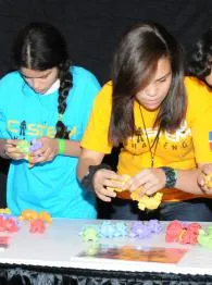 C-STEM Challenge